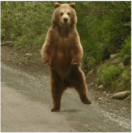 BURDUR GÜZEL SANATLAR LİSESİ by Z.T. - Ourboox.com