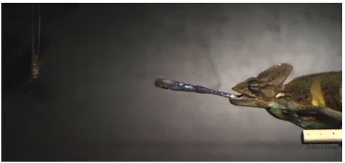 BURDUR GÜZEL SANATLAR LİSESİ by Z.T. - Ourboox.com