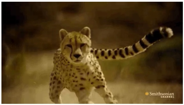 BURDUR GÜZEL SANATLAR LİSESİ by Z.T. - Ourboox.com