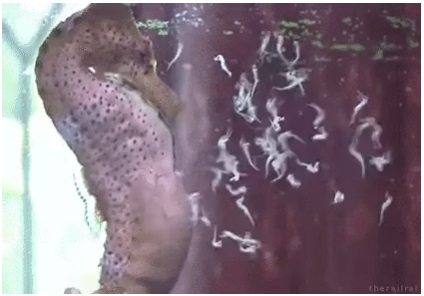 BURDUR GÜZEL SANATLAR LİSESİ by Z.T. - Ourboox.com