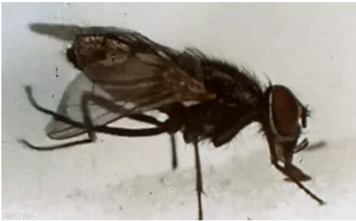 BURDUR GÜZEL SANATLAR LİSESİ by Z.T. - Ourboox.com