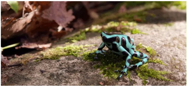 BURDUR GÜZEL SANATLAR LİSESİ by Z.T. - Ourboox.com