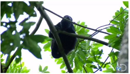 BURDUR GÜZEL SANATLAR LİSESİ by Z.T. - Ourboox.com