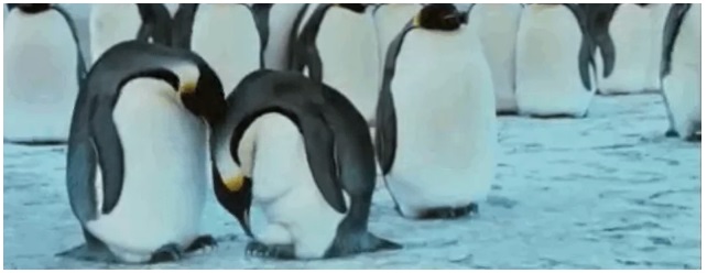 BURDUR GÜZEL SANATLAR LİSESİ by Z.T. - Ourboox.com