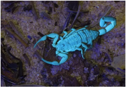 BURDUR GÜZEL SANATLAR LİSESİ by Z.T. - Ourboox.com