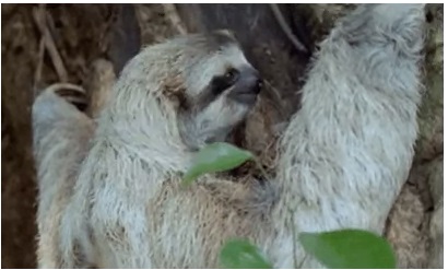 BURDUR GÜZEL SANATLAR LİSESİ by Z.T. - Ourboox.com