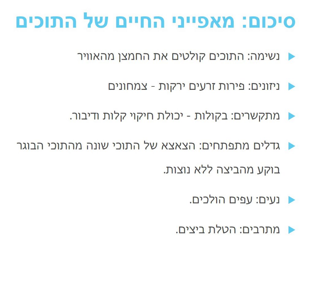 3 סוגי תוכים מיוחדים שאפשר לגדל בבית by boaz pego - Ourboox.com