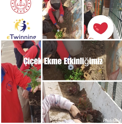 MİNİK ELLER GELECEĞİNE SAHİP ÇIKIYOR PROJEMİZİN ÇİÇEK EKME ETKİNLİĞİ by Sündüz - Ourboox.com