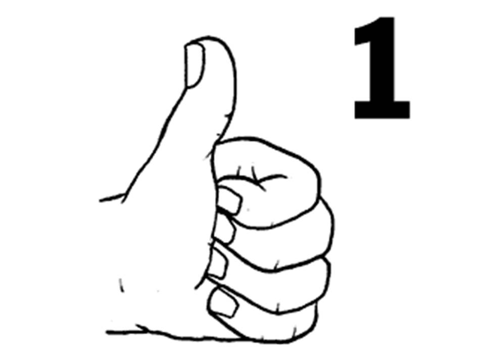 I NUMERI by Lara Patrignani - Illustrated by Patrignani Lara - Ourboox.com