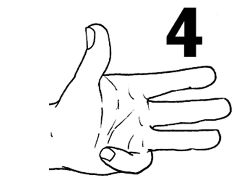 I NUMERI by Lara Patrignani - Illustrated by Patrignani Lara - Ourboox.com