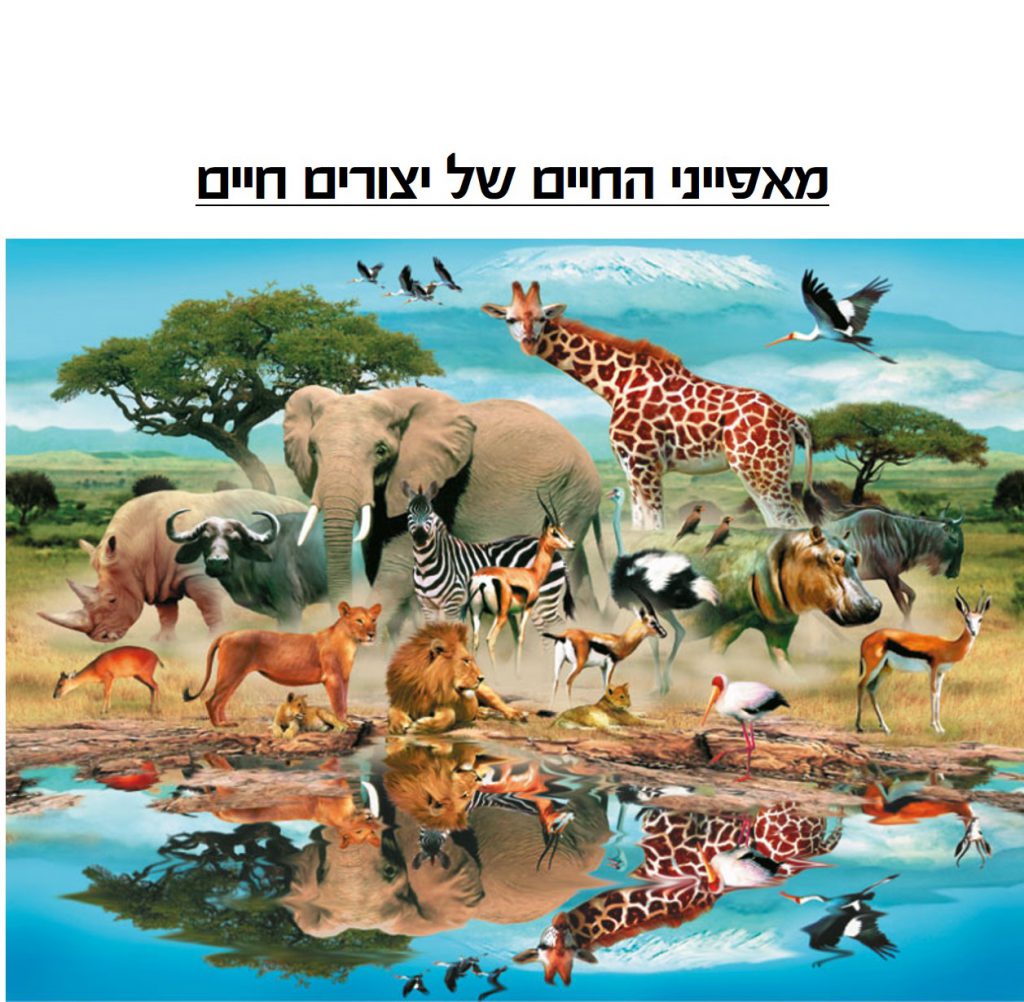 מאפייני החיים של יצורים חיים by boaz pego - Ourboox.com