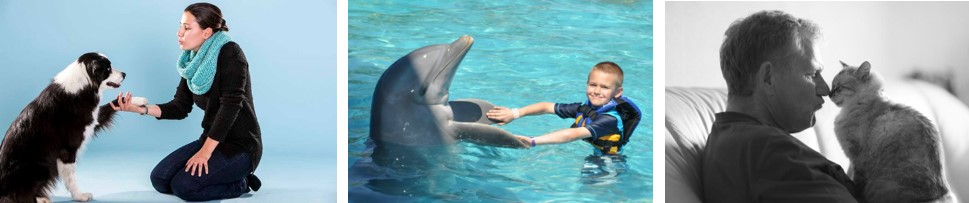 מאפייני החיים של יצורים חיים by boaz pego - Ourboox.com