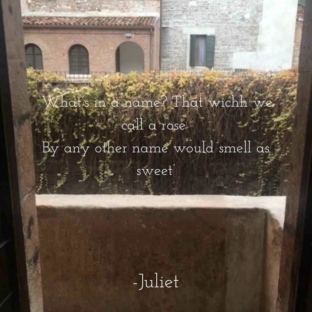 Verona by Arianna Ballarini - Illustrated by Liceo IESS - Ourboox.com