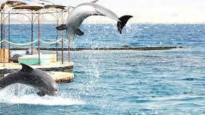 חוקרים ארץ by alexpatrakov - Illustrated by אלכס פטרקוב - Ourboox.com