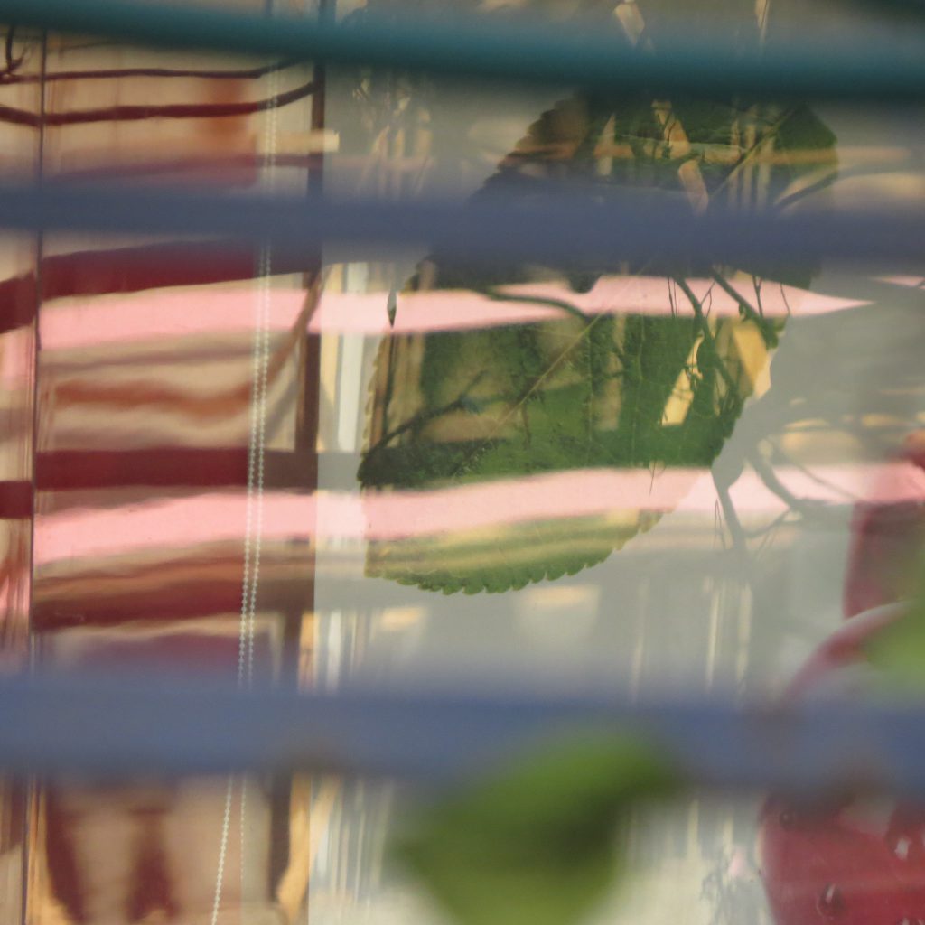 מבט by sharona - Illustrated by שרונה תמיר - Ourboox.com