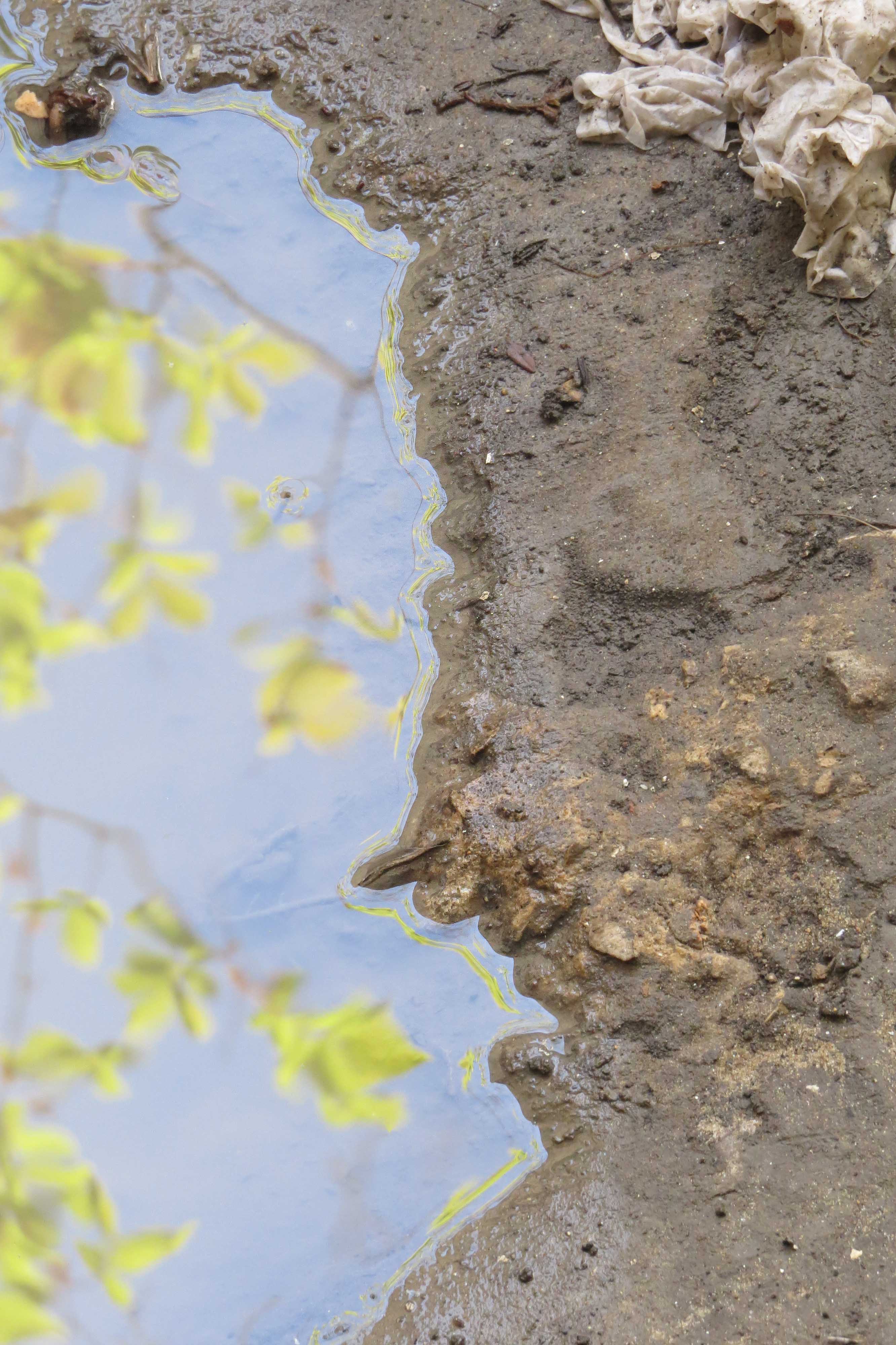 מבט by sharona - Illustrated by שרונה תמיר - Ourboox.com