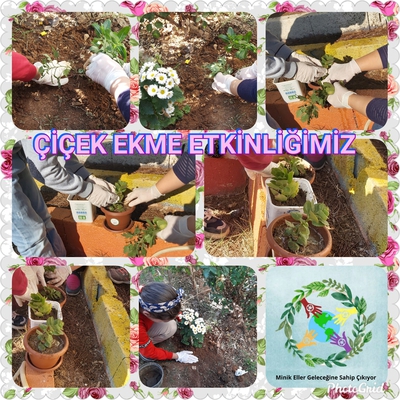 MİNİK ELLER GELECEĞİNE SAHİP ÇIKIYOR PROJEMİZİN ÇİÇEK EKME ETKİNLİĞİ by Sündüz - Ourboox.com