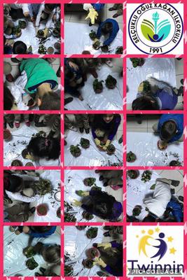 MİNİK ELLER GELECEĞİNE SAHİP ÇIKIYOR PROJEMİZİN ÇİÇEK EKME ETKİNLİĞİ by Sündüz - Ourboox.com