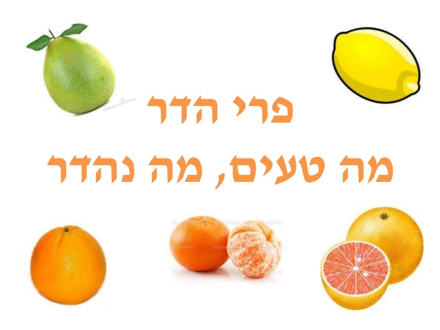 פירות הדר by alaa jamal - Illustrated by المعلمة الاء جمال عطية - Ourboox.com
