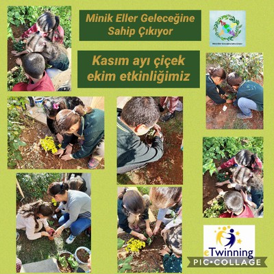 MİNİK ELLER GELECEĞİNE SAHİP ÇIKIYOR PROJEMİZİN ÇİÇEK EKME ETKİNLİĞİ by Sündüz - Ourboox.com