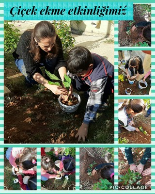 MİNİK ELLER GELECEĞİNE SAHİP ÇIKIYOR PROJEMİZİN ÇİÇEK EKME ETKİNLİĞİ by Sündüz - Ourboox.com