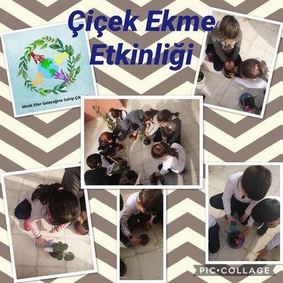 MİNİK ELLER GELECEĞİNE SAHİP ÇIKIYOR PROJEMİZİN ÇİÇEK EKME ETKİNLİĞİ by Sündüz - Ourboox.com