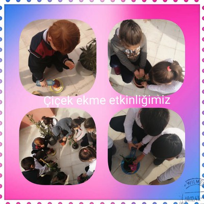 MİNİK ELLER GELECEĞİNE SAHİP ÇIKIYOR PROJEMİZİN ÇİÇEK EKME ETKİNLİĞİ by Sündüz - Ourboox.com