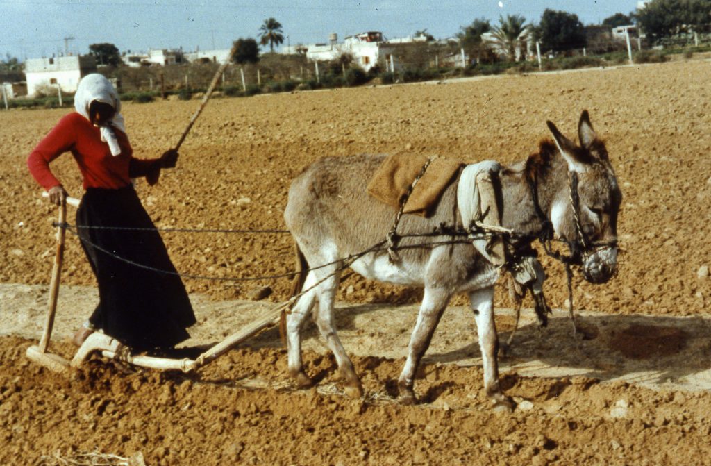 מוז”א שלי – עינבל לויכטר by אגף החינוך - Ourboox.com