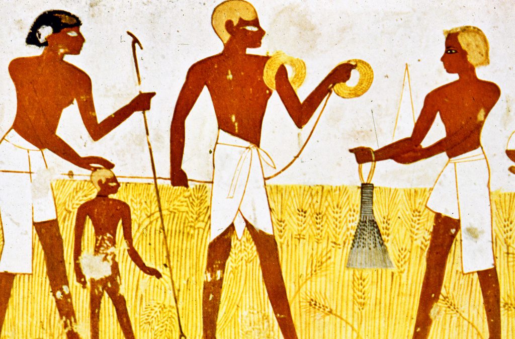 מוז”א שלי – עינבל לויכטר by אגף החינוך - Ourboox.com