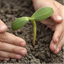 הנסיך וכד שמן הזית by etty levi berger - Illustrated by תמר ברגר - Ourboox.com