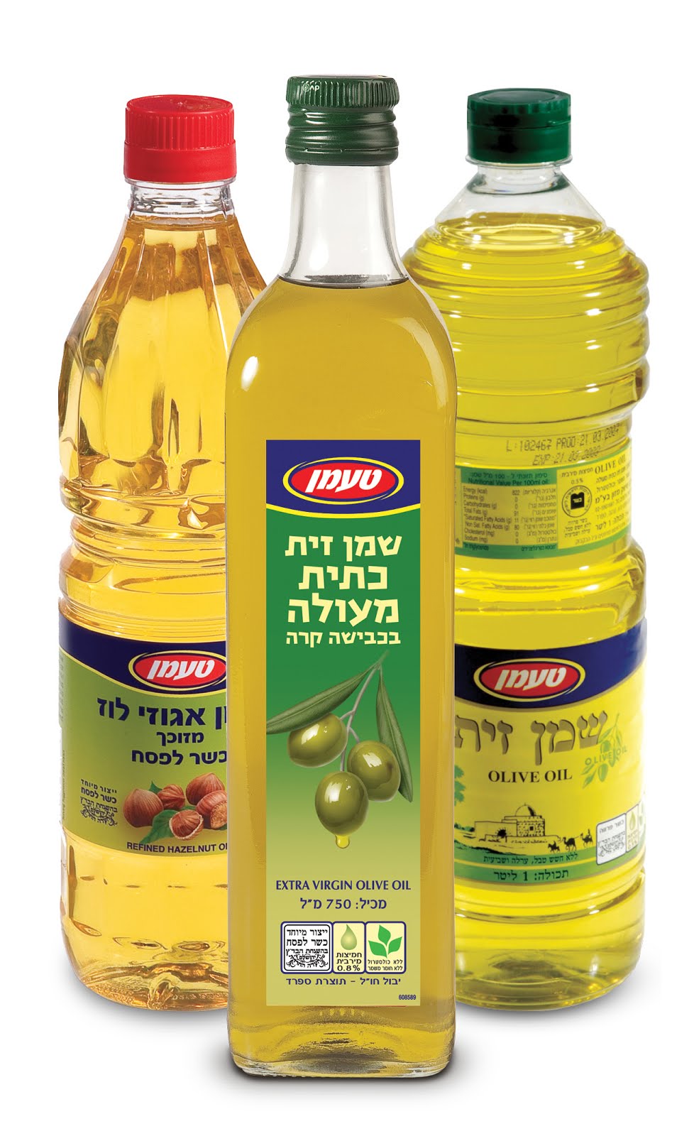 הנסיך וכד שמן הזית by etty levi berger - Illustrated by תמר ברגר - Ourboox.com