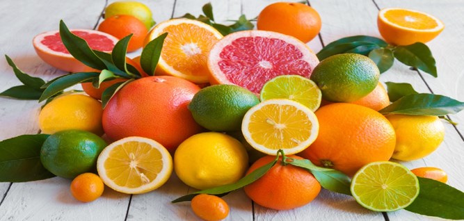 الحمضيات by alaa jamal - Ourboox.com