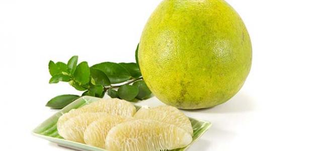 פירות הדר by alaa jamal - Illustrated by المعلمة الاء جمال عطية - Ourboox.com