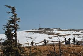 סיפור שלושת הפרפרים by MARIAM - Ourboox.com