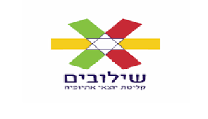 ערכי התרבות הארגונית-תוכנית שילובים