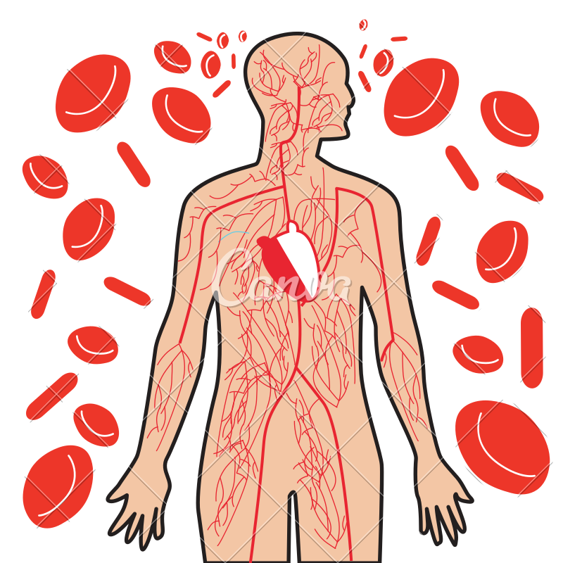 Learning Body by Mimoza - Illustrated by Mimoza  - Ourboox.com