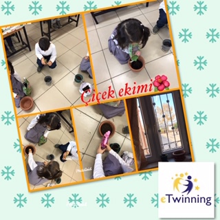 MİNİK ELLER GELECEĞİNE SAHİP ÇIKIYOR PROJEMİZİN ÇİÇEK EKME ETKİNLİĞİ by Sündüz - Ourboox.com