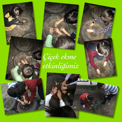 MİNİK ELLER GELECEĞİNE SAHİP ÇIKIYOR PROJEMİZİN ÇİÇEK EKME ETKİNLİĞİ by Sündüz - Ourboox.com