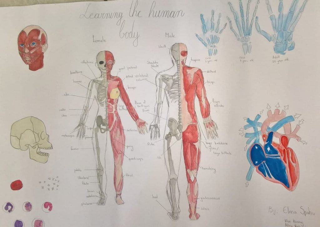 Learning Body by Mimoza - Illustrated by Mimoza  - Ourboox.com