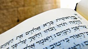 שבעת ימי הבריאה – עלמה חיים ושירה זוהר by reut - Illustrated by שירה זוהר ועלמה חיים - Ourboox.com