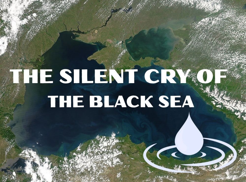 THE SILENT CRY OF THE BLACK SEA by LACRIMIOARA SABAREANU - Ourboox.com