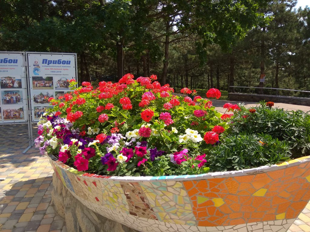 Моя первая книга by cthutq - Ourboox.com