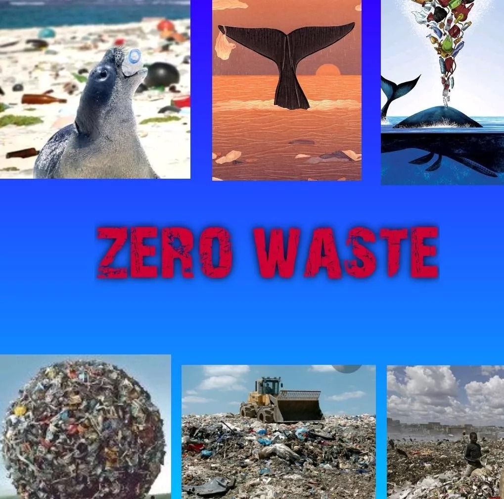 ZERO WASTE STUDENTS WEB 2.0 TOOLS by belgin dasdemir - Illustrated by ZERO WASTE STUDENTS - Ourboox.com