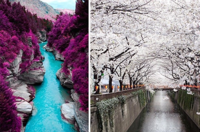 Чудеса природы by svetlana - Ourboox.com