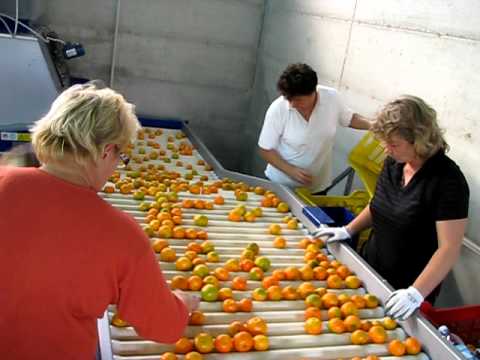 Paternò del ‘900 by Enrica Scandura - Ourboox.com