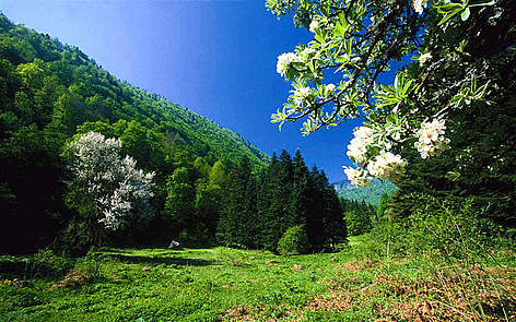 DOĞA by furkan efe gürel - Ourboox.com