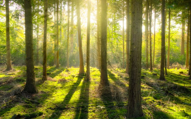 DOĞA by furkan efe gürel - Ourboox.com