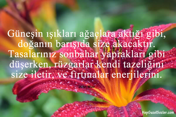 DOĞA by furkan efe gürel - Ourboox.com