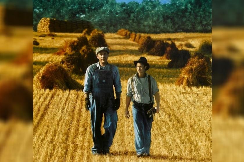 FARELER VE İNSANLAR by burcusonmez - Illustrated by SALİHLİ İMKB MTAL ÖĞRENCİLERİ - Ourboox.com