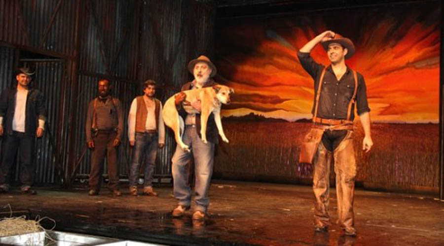 FARELER VE İNSANLAR by burcusonmez - Illustrated by SALİHLİ İMKB MTAL ÖĞRENCİLERİ - Ourboox.com